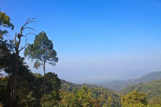Views of the valley in the national park