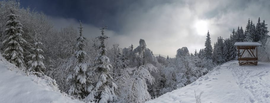 Rennsteig in winter
