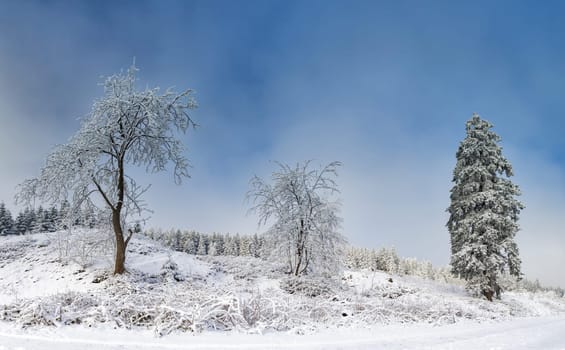 Rennsteig in winter