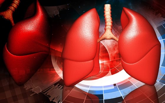 Digital illustration of human lungs in colour background