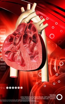Digital illustration of heart in colour background