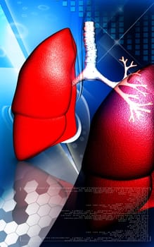 Digital illustration of human lungs in colour background