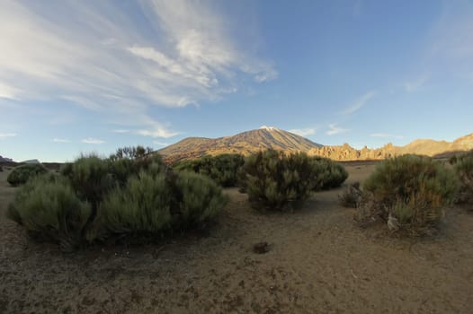 Desert Landscape in Volcan Teide National Park, Tenerife, Canary Island, Spain
