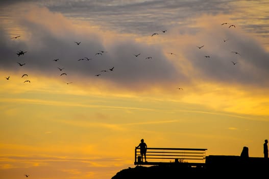 People in a Terrace at Sunset South of Tenerife Canary Island Spain