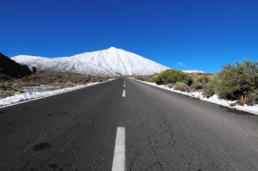 Desert Lonely Road Landscape in Volcan Teide National Park, Tenerife, Canary Island, Spain