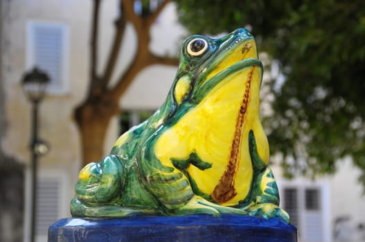 Green Fountain Frog on an Urban Garden
