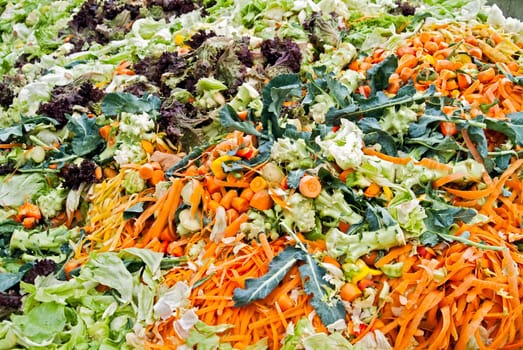 Peels of vegetables