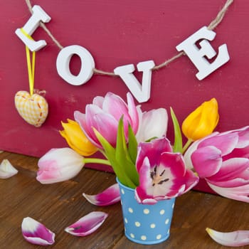 Colorful tulips in a small blue bucket against a red background