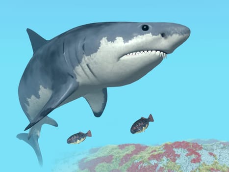 Computer-generated 3D illustration with a great white shark