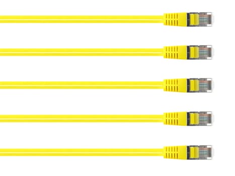 Ethernet cables isolated against a plain background