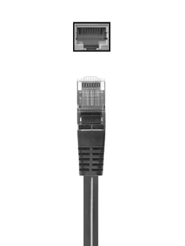 Ethernet cables isolated against a plain background