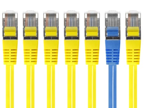 Ethernet cables isolated against a plain background