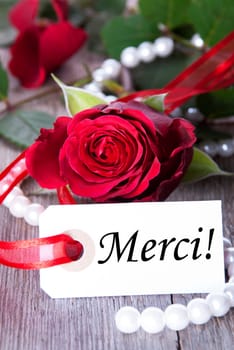 Background with Rose and Pearls and the French Word Merci which means Thanks