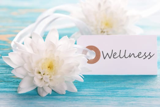 Label with Wellness on Turquiose Wooden Background with white Blossoms