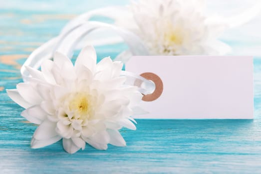 Empty Tag on Wooden Background in Turquiose with White Flowers
