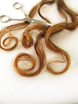Real maroon hair and scissors