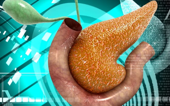 Digital illustration of pancreas in colour background