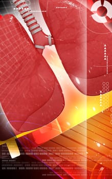 Digital illustration of human lungs in colour background