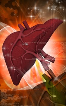 Digital illustration of liver in colour background