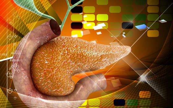Digital illustration of pancreas in colour background