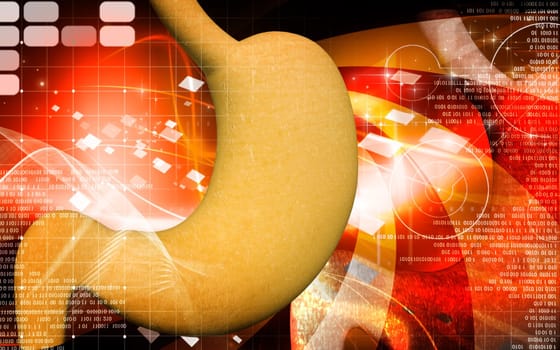 Digital illustration of stomach in colour background