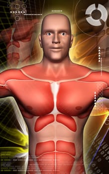 Digital illustration of human body in colour background