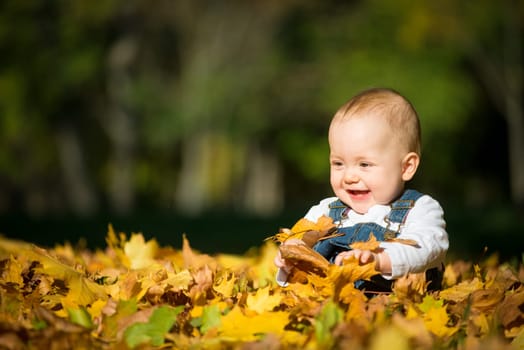 Beautiful happy baby in autumn nature - sitting in leaves