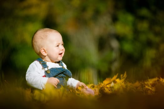 Beautiful happy baby in autumn nature - sitting in leaves