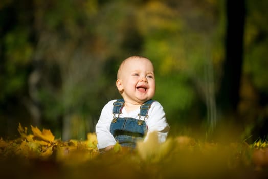 Beautiful happy baby in autumn nature - sitting in leaves