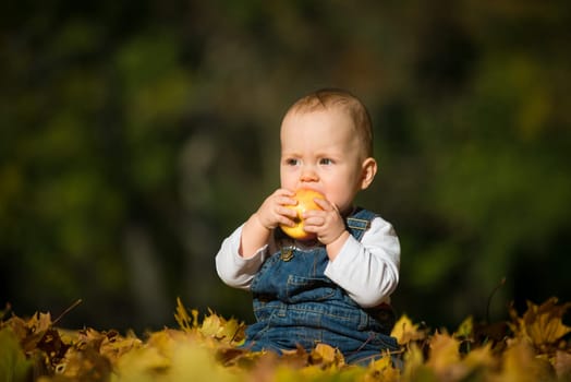 Cute baby eating apple outdoor in autumn nature - sitting in leaves