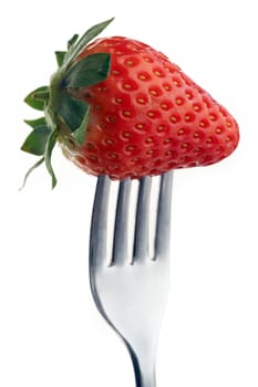 whole strawberry pierced on a fork against plain background