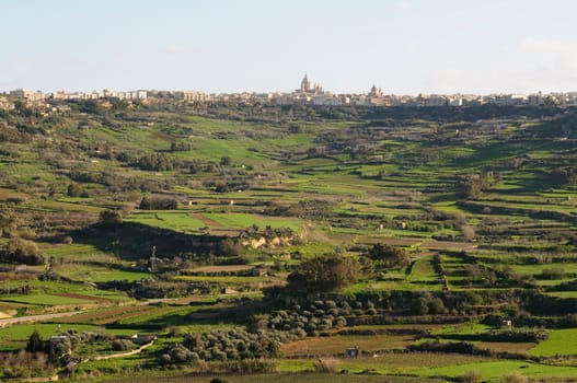 Gozo Land