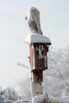 the winter-impression into the frosty day