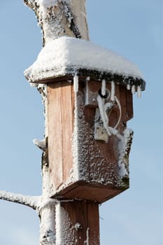 the winter-impression into the frosty day