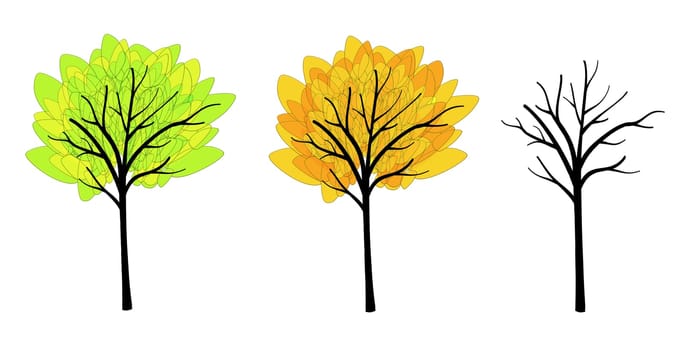 different seasons trees isolated on white