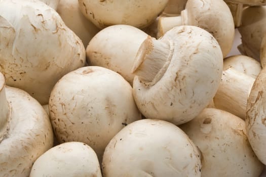 Champignon mushrooms making raw food pattern background