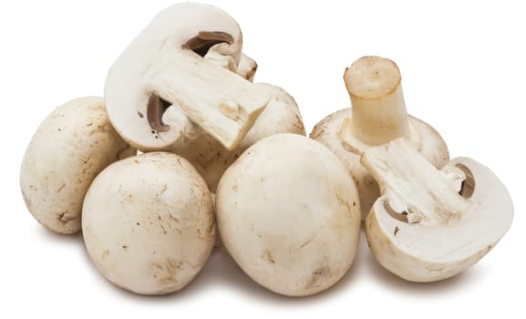 Fresh champignon mushrooms isolated on white background