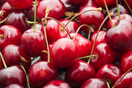 Beautiful red fresh cherry macro photo background