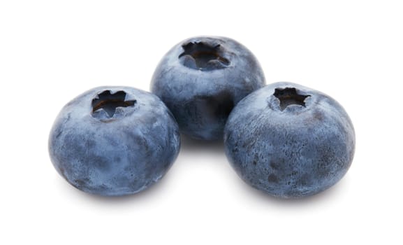 Fresh blueberry or bilberry  isolated on white background