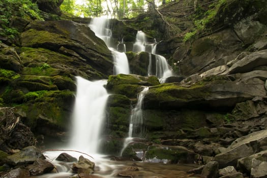 River flows in the forest