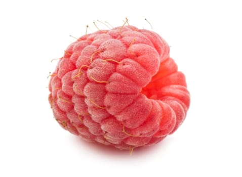 Ripe red raspberry isolated on white background