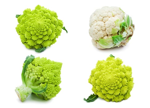 Collection of Romanesco broccoli and  cauliflower isolated on white background