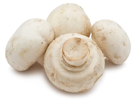 Fresh champignon mushrooms isolated on white background