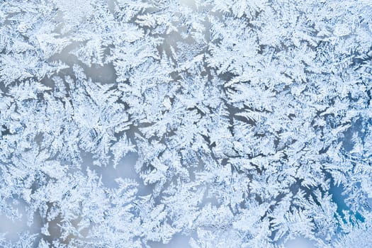 Beautiful pattern of frost on  winter window