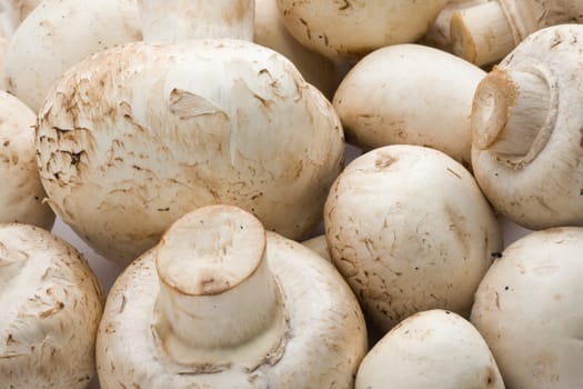 Champignon mushrooms making raw food pattern background