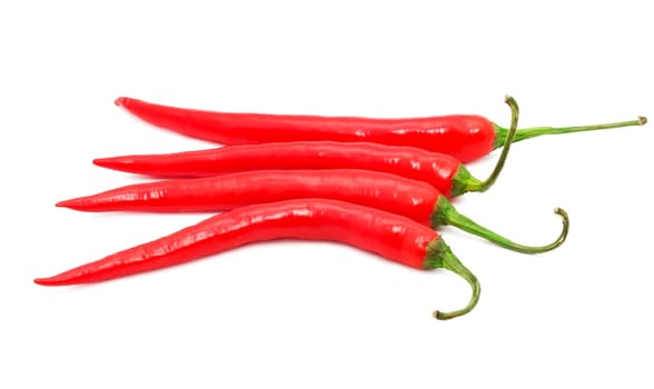 Red hot chili pepper isolated on white background