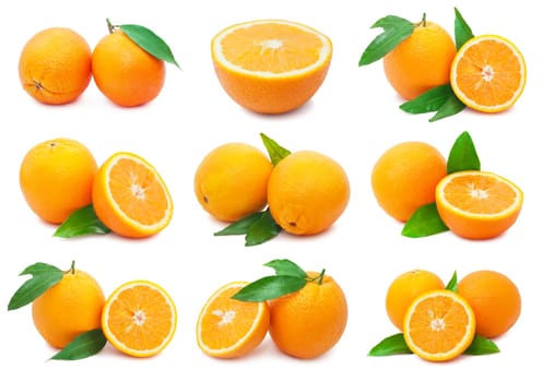 Collection of fresh orange fruits isolated on white background