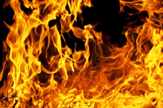 Beautiful yellow and orange hot fire on black background