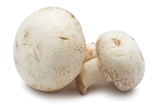 Fresh champignon mushrooms isolated on white background