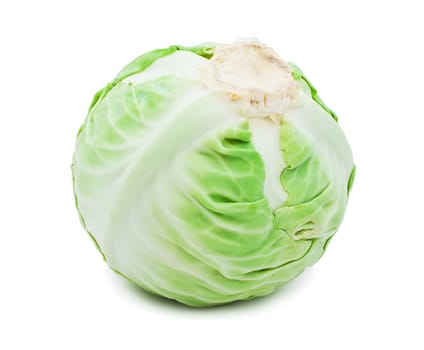 Whole green cabbage isolated on white background